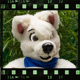 Eurofurence 2015 fursuit photoshoot. Preview picture of Boltee, Sethaa